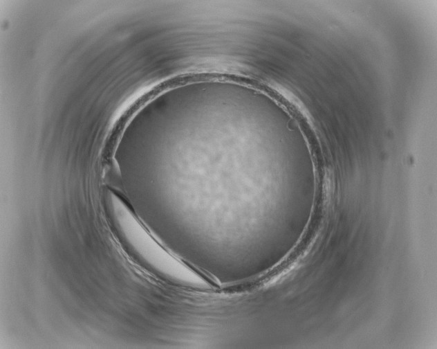 X0000087590925200705112259