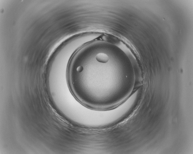 X0000087590926200705112259