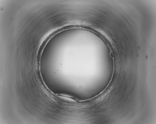 X0000087590927200705112259