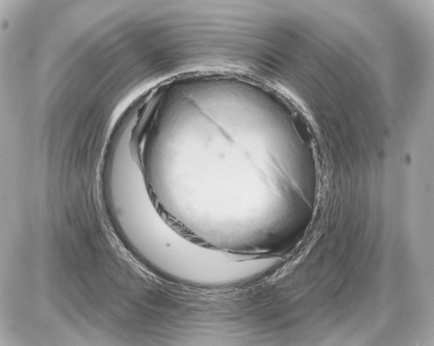 X0000087590928200705112259