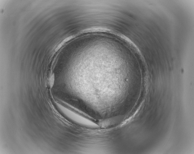 X0000087590929200705112259