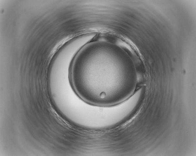 X0000087590930200705112259