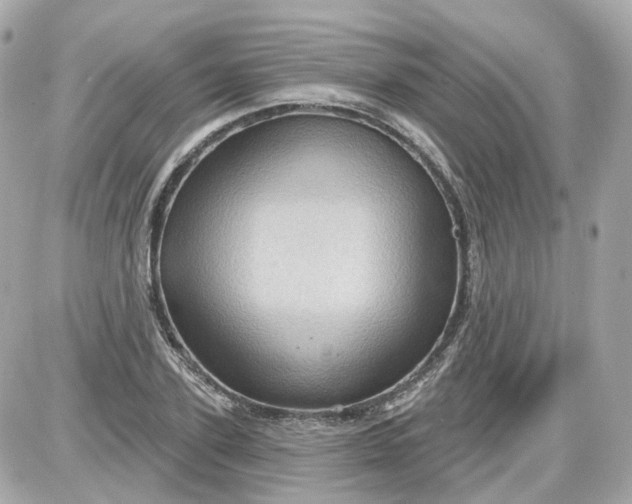 X0000087590931200705112259