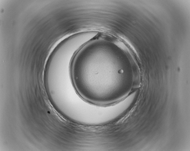 X0000087590932200705112259