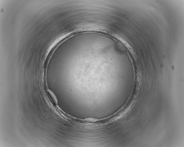 X0000087590933200705112259