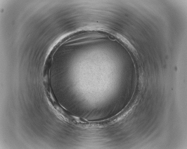 X0000087590934200705112259