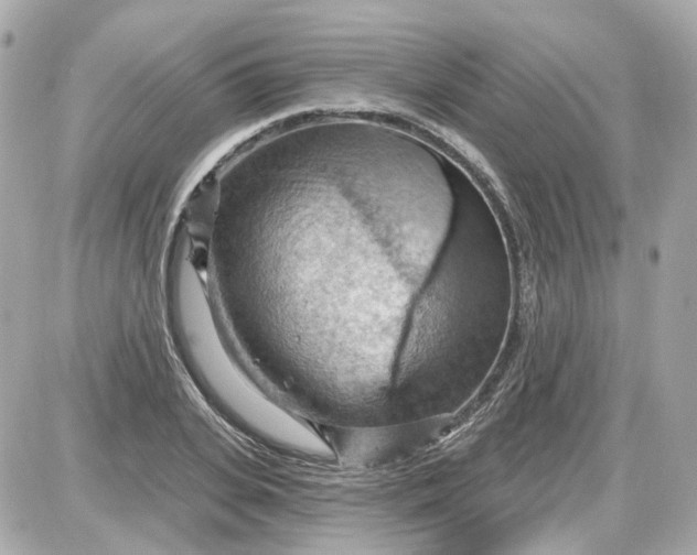 X0000087590935200705112259