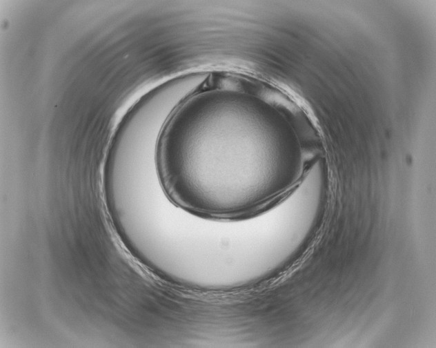 X0000087590936200705112259