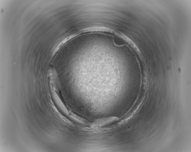 X0000087590937200705112259