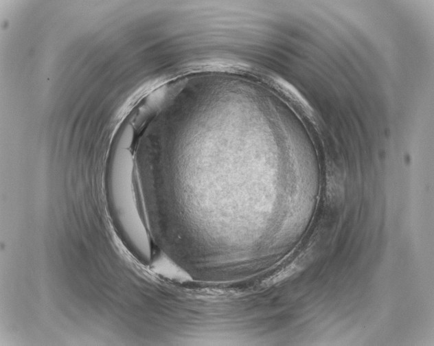 X0000087590938200705112259