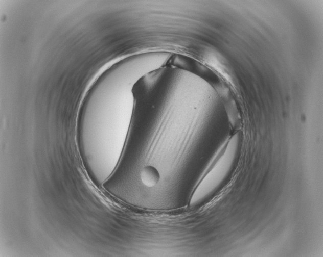 X0000087590940200705112259