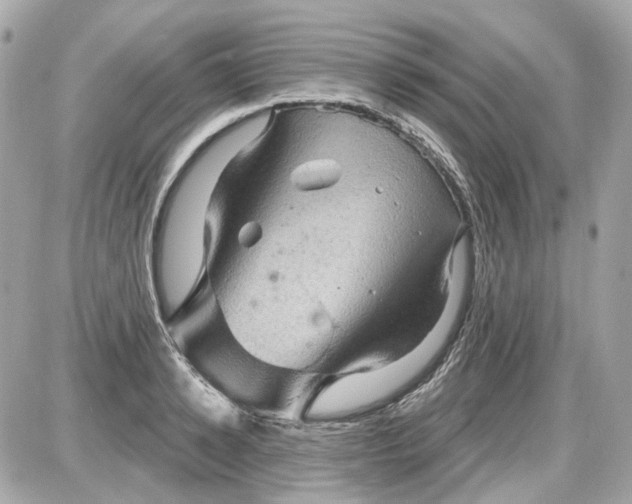 X0000087590942200705112300