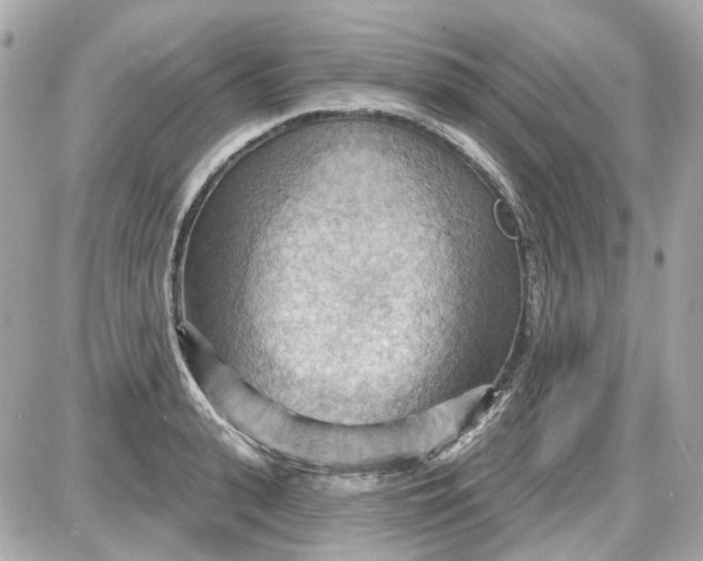 X0000087590943200705112300