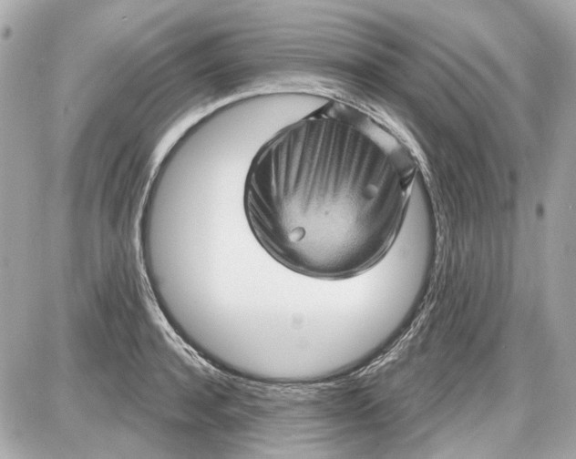 X0000087590944200705112300