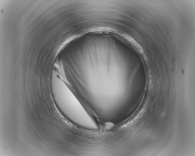 X0000087590945200705112300