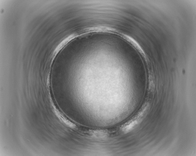 X0000087590946200705112300