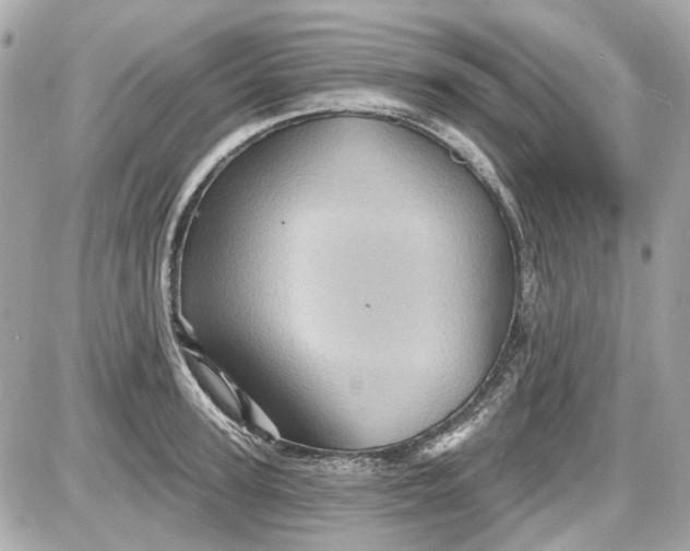 X0000087590947200705112300