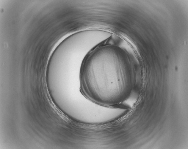 X0000087590948200705112300