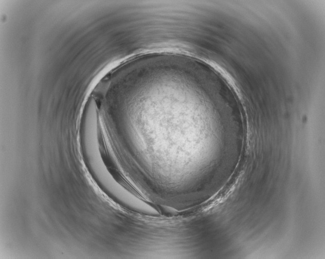 X0000087590949200705112300