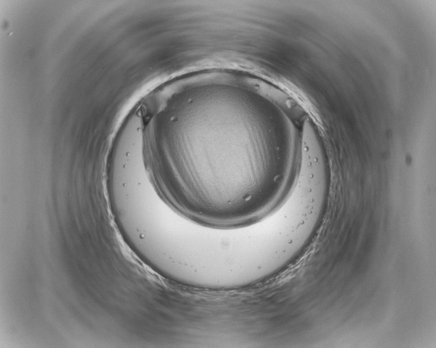 X0000087590950200705112300