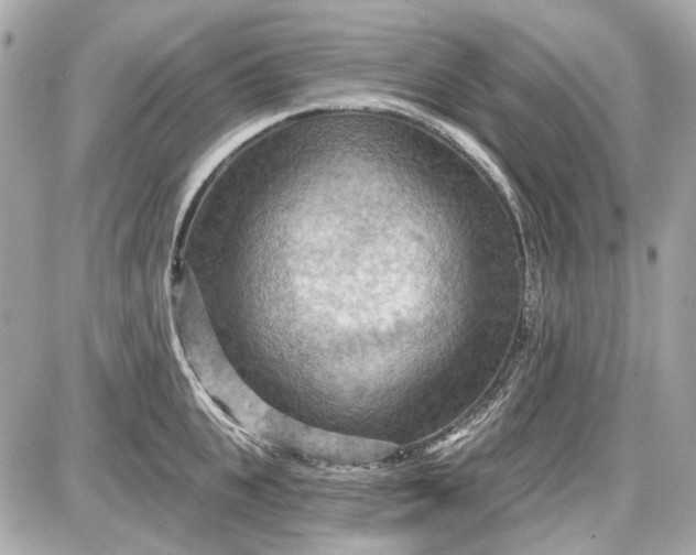 X0000087590951200705112300