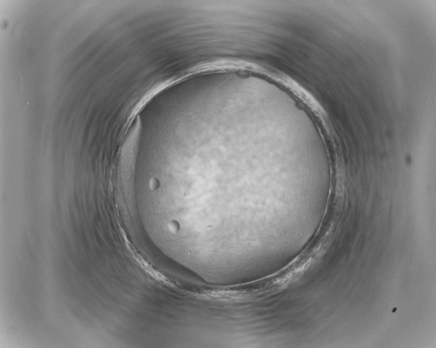 X0000087590953200705112300