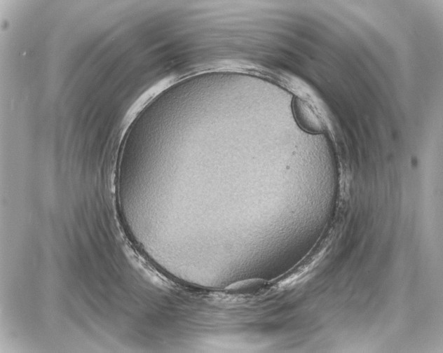 X0000087590954200705112300