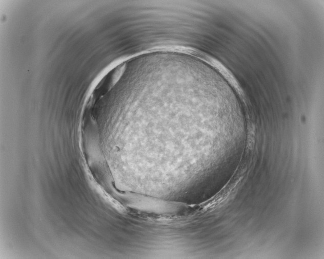 X0000087590955200705112300