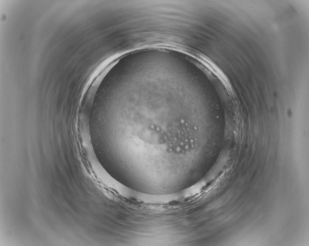 X0000087590956200705112300