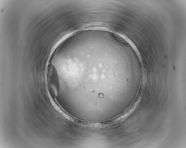 X0000087590957200705112300