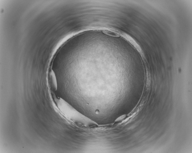 X0000087590958200705112300