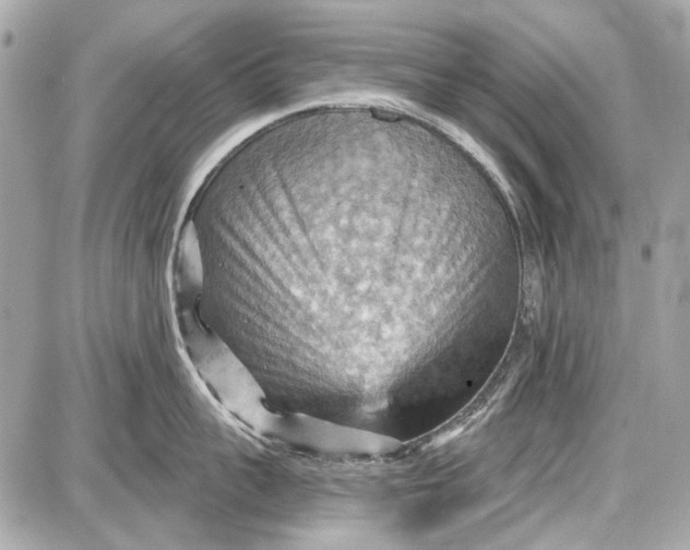 X0000087590959200705112300