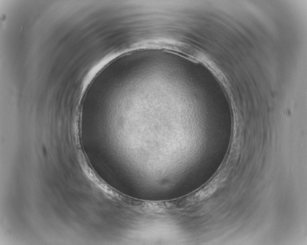 X0000087590960200705112300