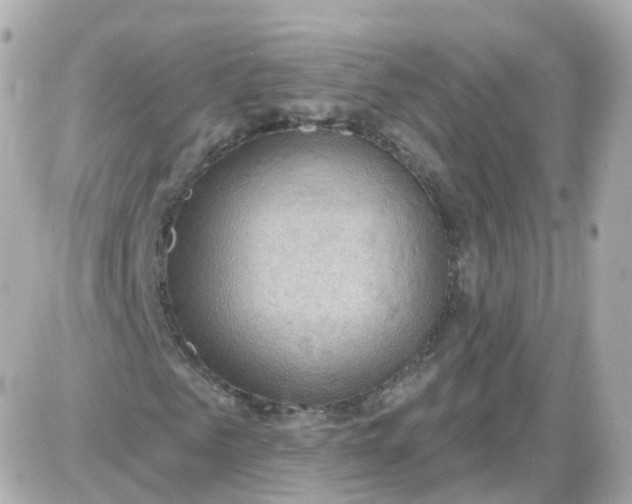 X0000087590961200705112259