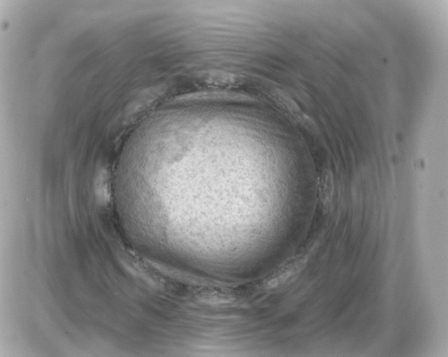 X0000087590962200705112259