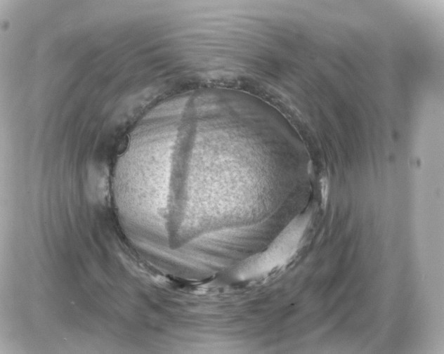 X0000087590963200705112259