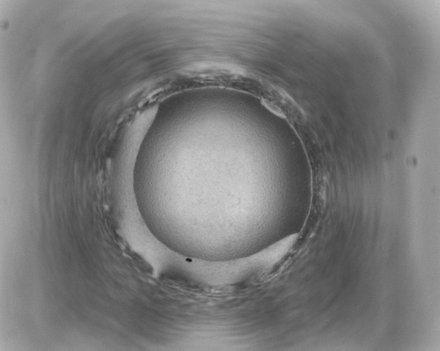 X0000087590965200705112259