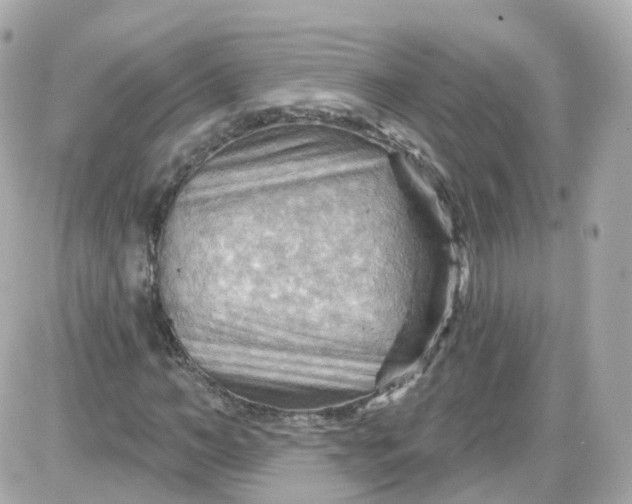 X0000087590966200705112259