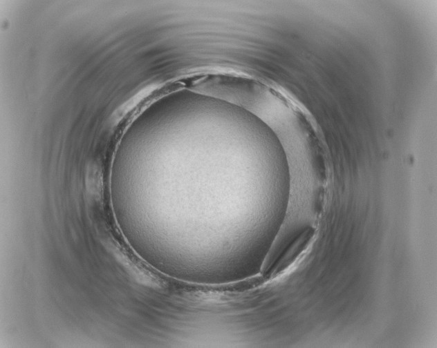 X0000087590969200705112259