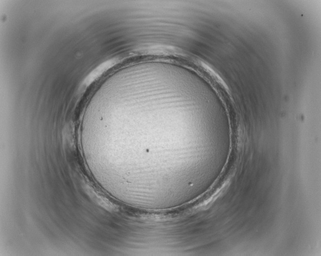 X0000087590970200705112259