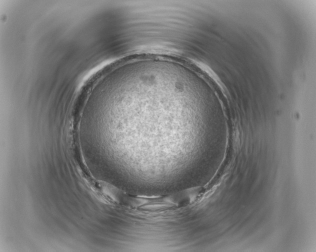 X0000087590971200705112259