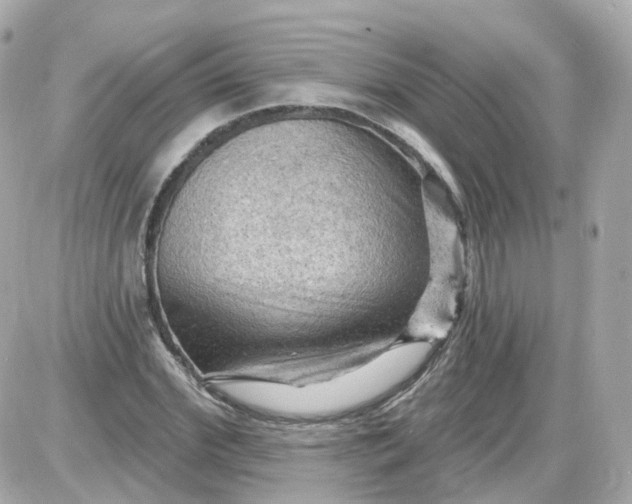 X0000087590972200705112259