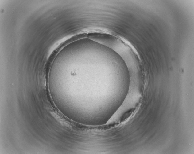 X0000087590973200705112259