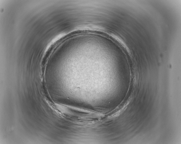 X0000087590974200705112259