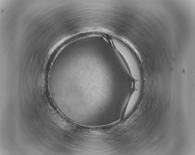 X0000087590975200705112259