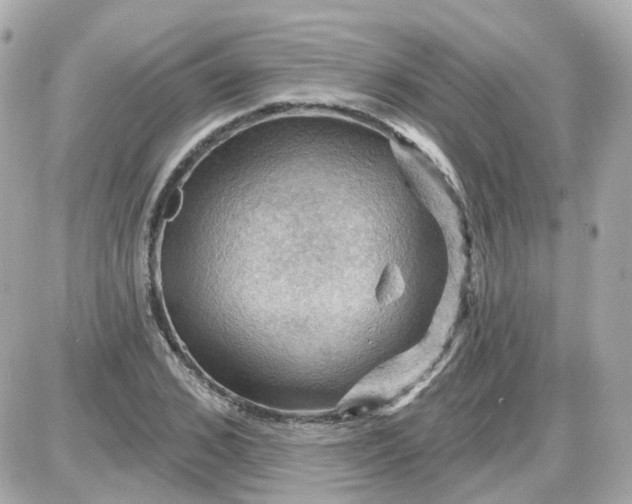 X0000087590976200705112259