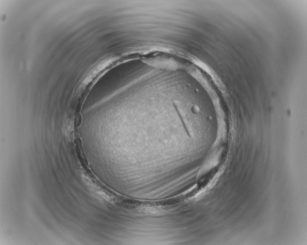 X0000087590977200705112259