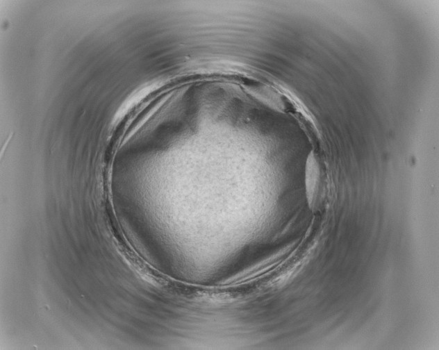 X0000087590978200705112259