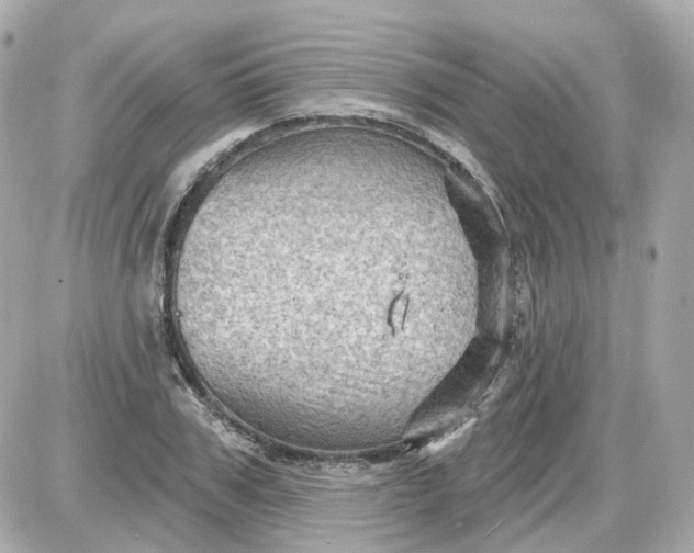 X0000087590979200705112259