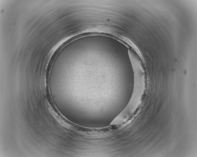 X0000087590980200705112259